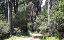 Vowland Ethiopia Tour4