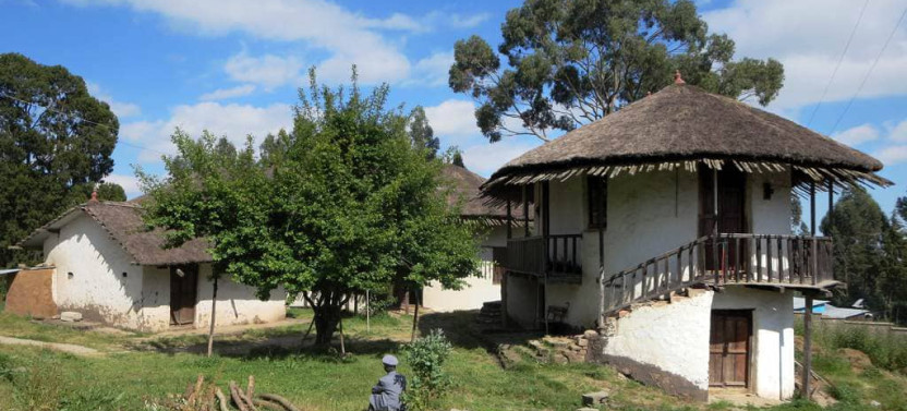 Explore Addis Ababa City Tour With Half Or Full Day