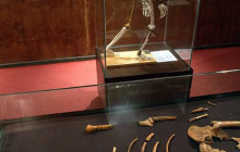 Vowland Ethiopia Tour7