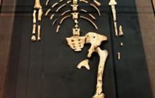 Vowland Ethiopia Tour8