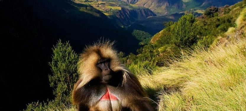 15-day Northern Ethiopia: A Journey Through Time