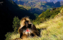 Vowland Ethiopia Tour2