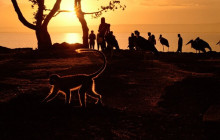 Vowland Ethiopia Tour10