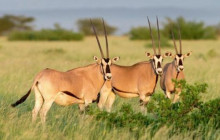 Vowland Ethiopia Tour1