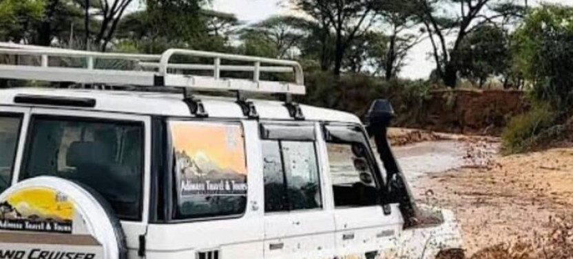 8 Days Harar, Awash Safari And Bale Mountains Trip