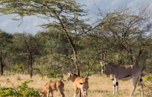 Vowland Ethiopia Tour3