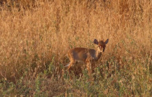 Vowland Ethiopia Tour5