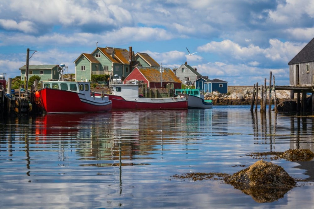 Best Of Halifax Small Group Tour With Peggy's Cove - Halifax 