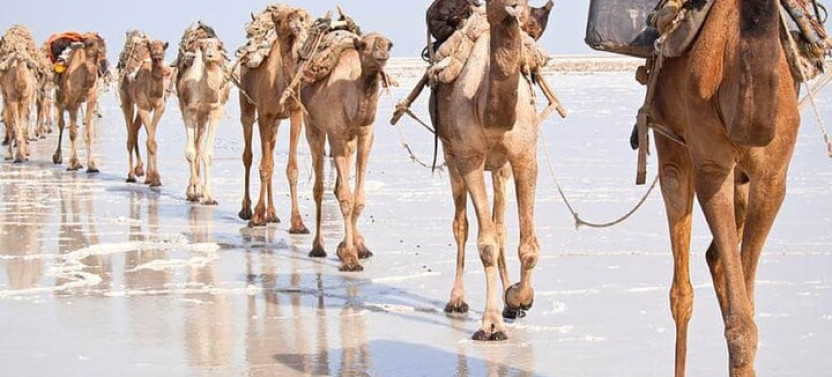 3-day Danakil Depression: Explore Earth's Hottest Wonderland