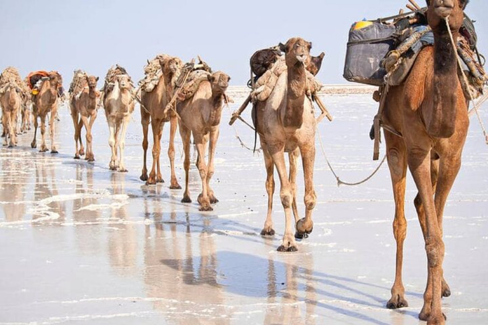 3-day Danakil Depression: Explore Earth's Hottest Wonderland