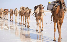 Vowland Ethiopia Tour1