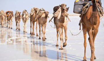 A picture of 3-day Danakil Depression: Explore Earth's Hottest Wonderland