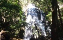Rincon De La Vieja National Park Tour