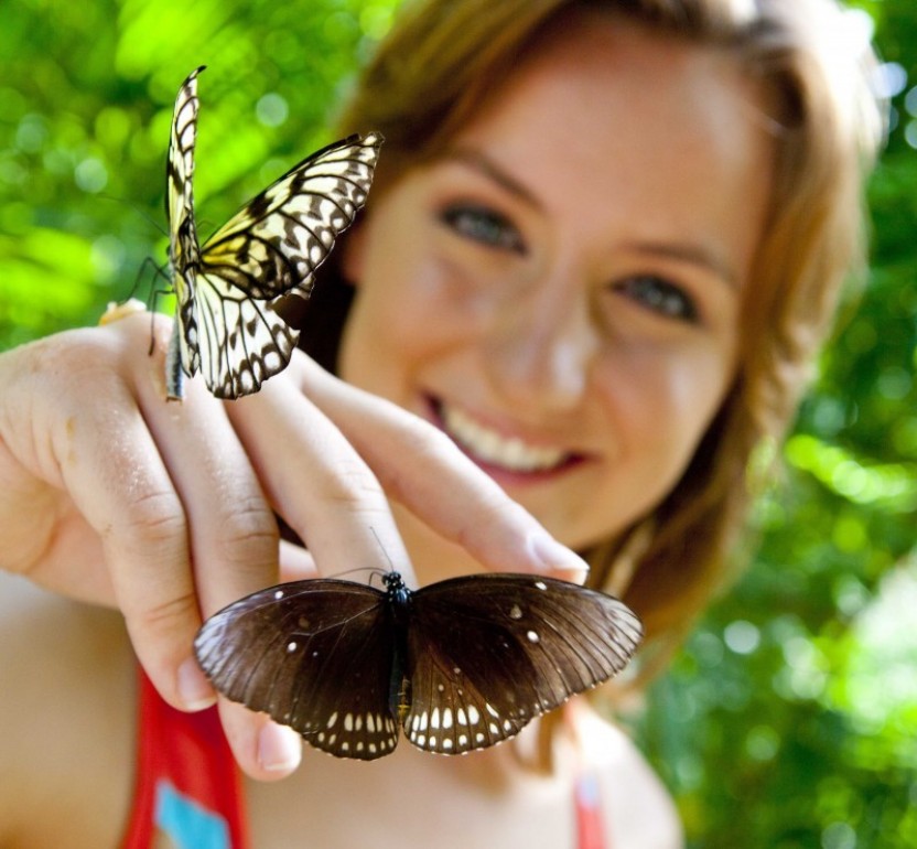 Aruba Sightseeing Tour