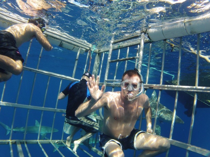 Shark Cage Snorkel
