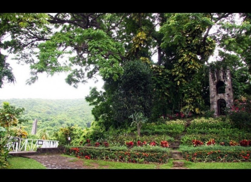 Panoramic Half Island Tour - Option 2
