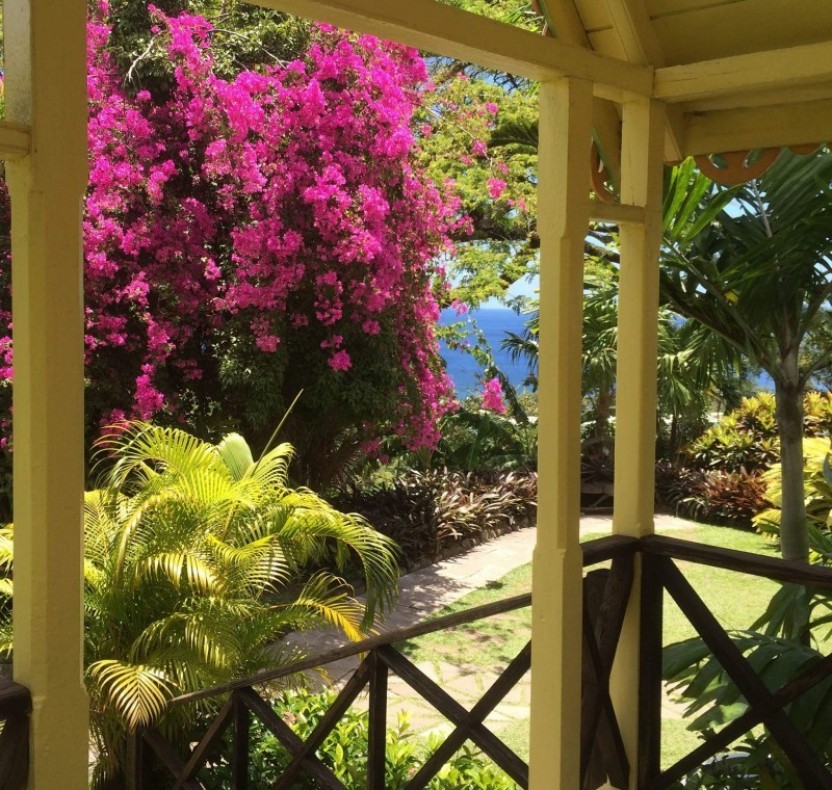 Panoramic Half Island Tour - Option 1