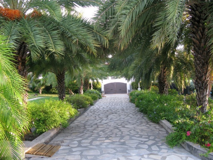 Walking Tour of Basseterre