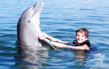 Dolphin Royal Swim: Grand Cayman (East)