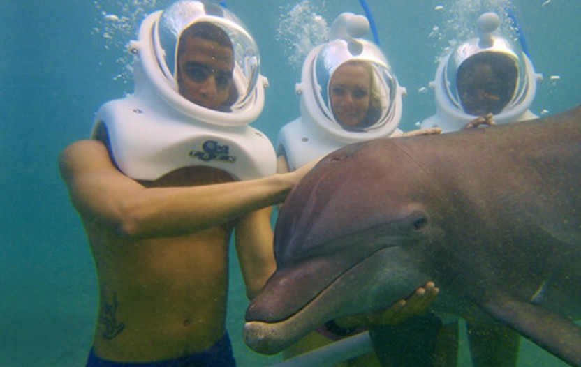 Dolphin Underwater Trek: Grand Cayman (West)