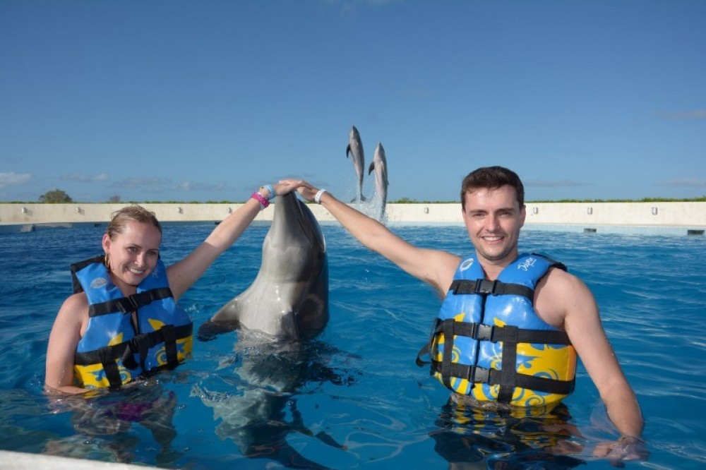 Dolphin Encounter: Punta Cana with Transfers