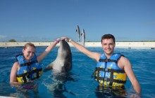 Dolphin Encounter: Punta Cana