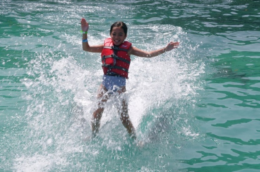Dolphin Royal Swim: Tortola