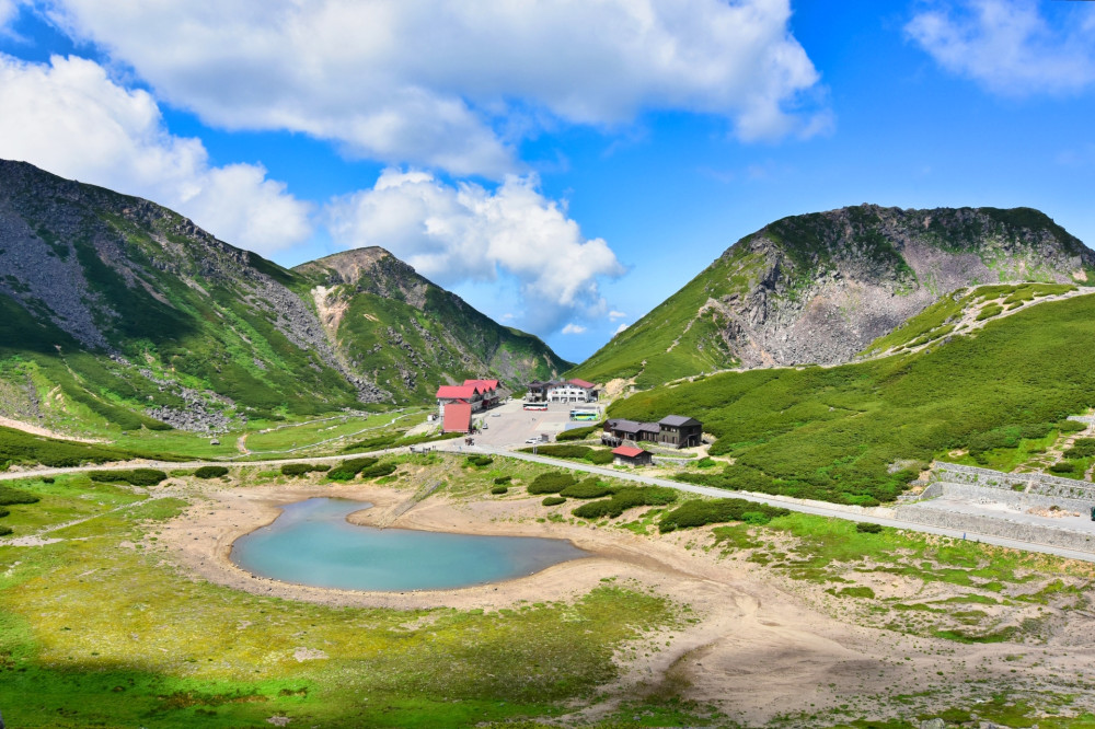 1-Day Mt. Norikura from Takayama Tour: Alpine Flowers & Scenic Views