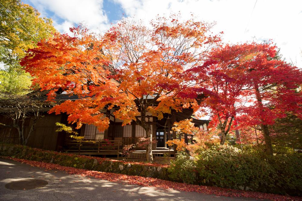 Half-Day Walking Tour: Takayama’s Hidden Gems & Temple Walk