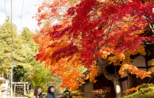 Machinovate Japan Ltd12