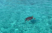 DelFin Charters7