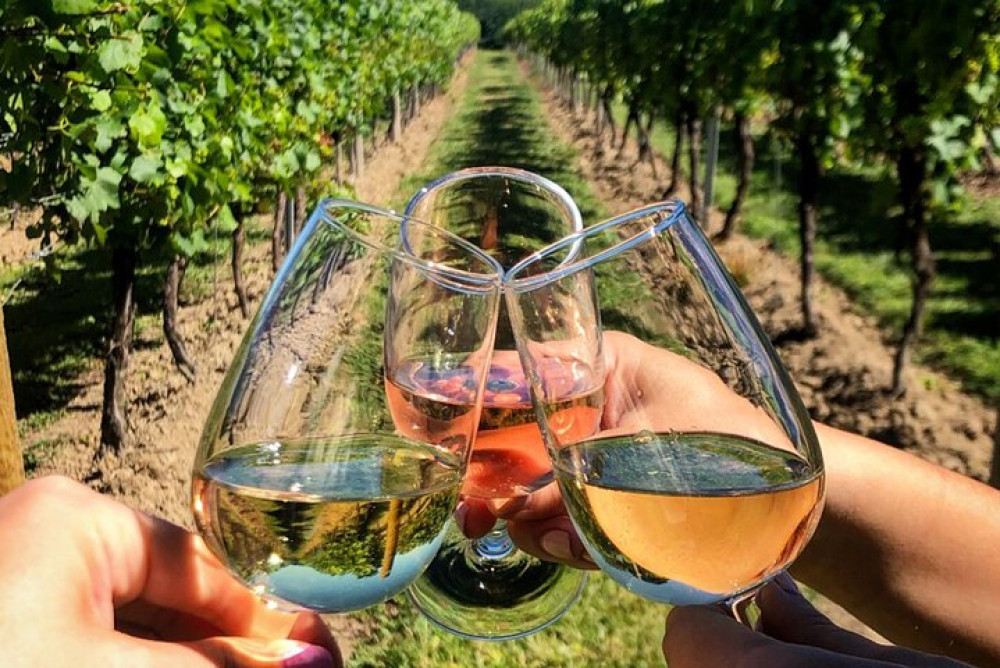 For Cruisers: Kusadasi Port Private Wine Tasting and Ephesus Tour