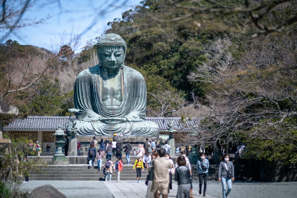 Tokyo Day Trip: Kamakura Temples, Enoshima Island & Coastal Walk