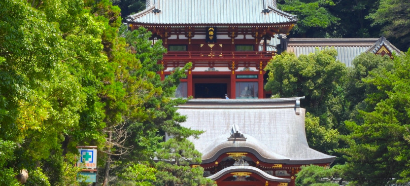 Tokyo Day Trip: Kamakura Temples, Enoshima Island & Coastal Walk