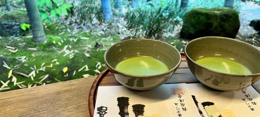 Tokyo Day Trip: Kamakura Temples, Enoshima Island & Coastal Walk