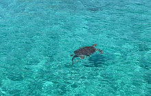 DelFin Charters3