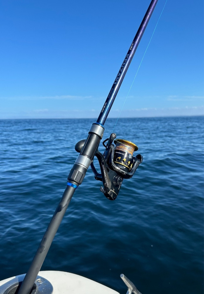 Gilthead Bream Fishing