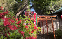 Machinovate Japan Ltd4