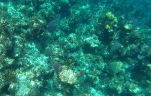 DelFin Charters15