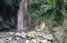 St. Lucia Botanical Gardens