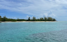 DelFin Charters21