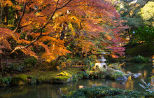 Machinovate Japan Ltd3