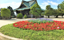 Machinovate Japan Ltd4