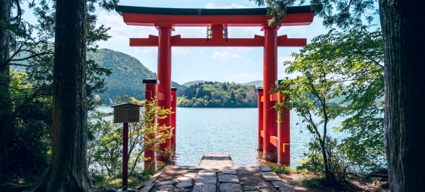 Small Group Hakone Day Trip with Ropeway,Lake Ashi Cruise, and Shrine Visit