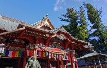 Machinovate Japan Ltd1