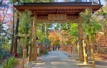 Machinovate Japan Ltd5