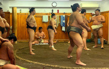 Machinovate Japan Ltd2