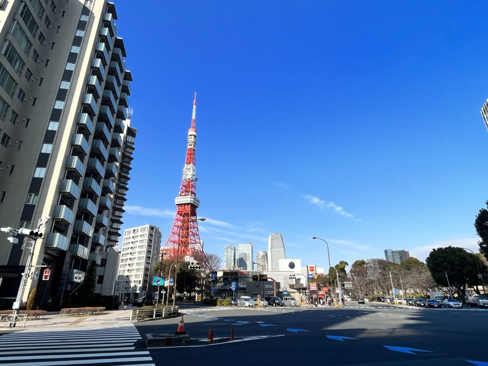 Tokyo Highlights Tour: Sumo, Sushi, Tea, Temples and Tokyo Tower