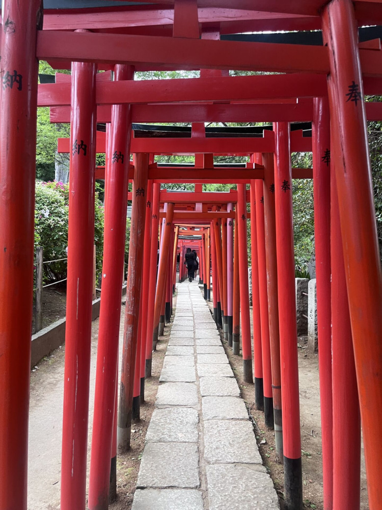 Tokyo Walking Tour: Explore Yanaka, Nezu & Sendagi