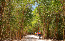 Tulum Adventure6